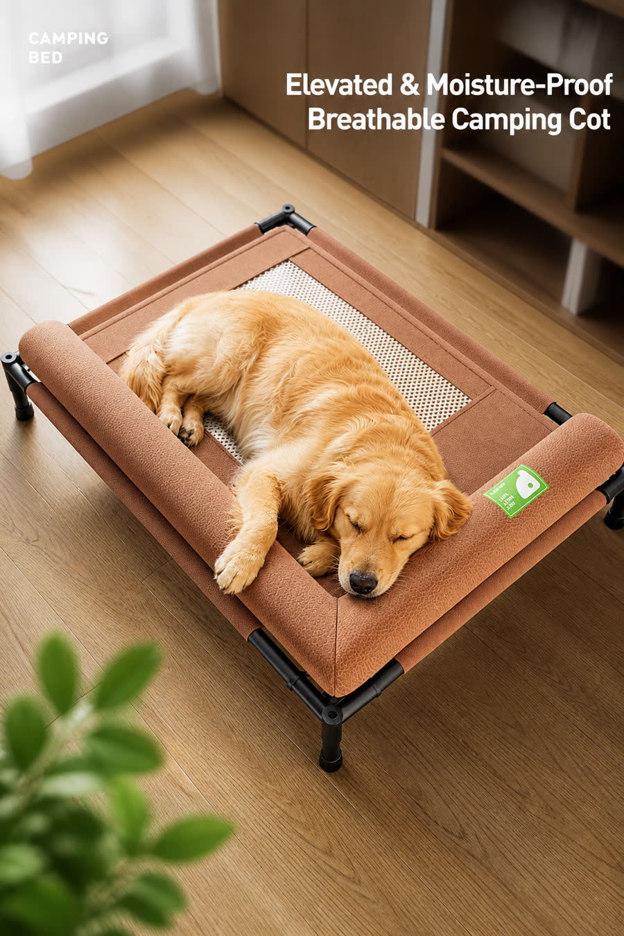 Elevated Leather Dog Camp Bed, Moisture & Bite Resistant Washable Bed for Small Medium Dogs